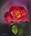 tn_ST839971